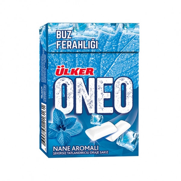 ONEO NANE FLIPTOP SAKIZ 21GRx20x8